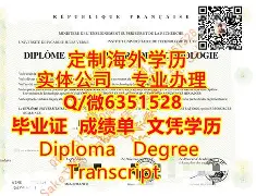 新疆大学本科毕业要求