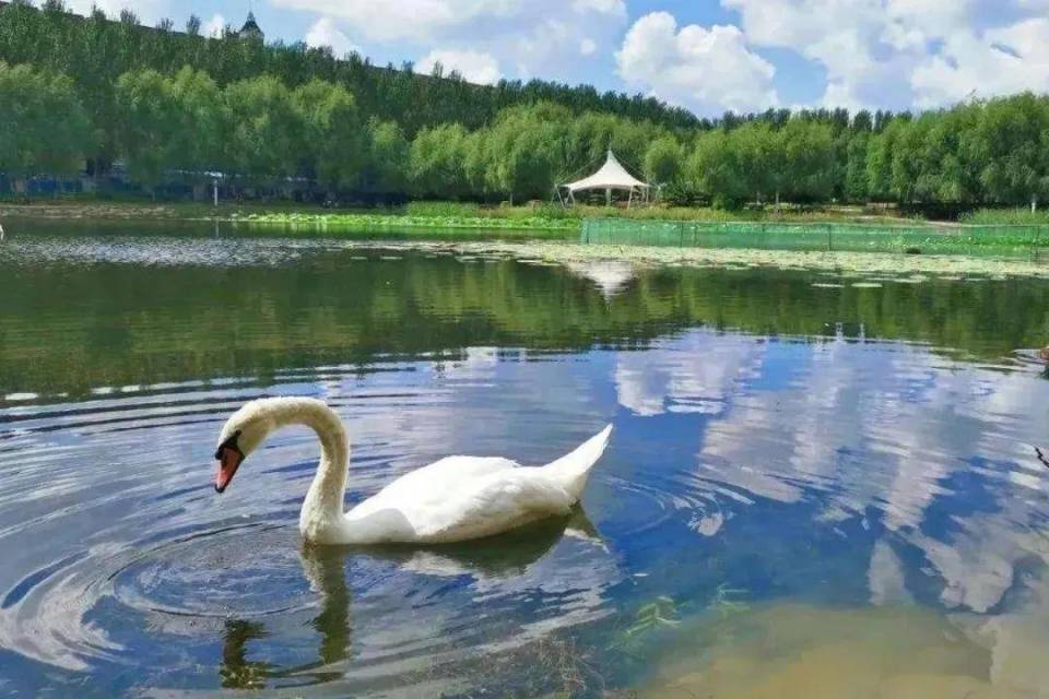 吉林大学第一医院
